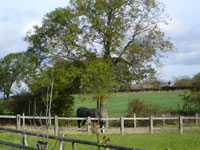 Pudding Pie Barn, Wigley, Nr. Baslow, Derbyshire -  View